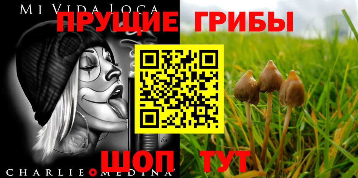 Галлюциногенные грибы Magic Shrooms Курганинск